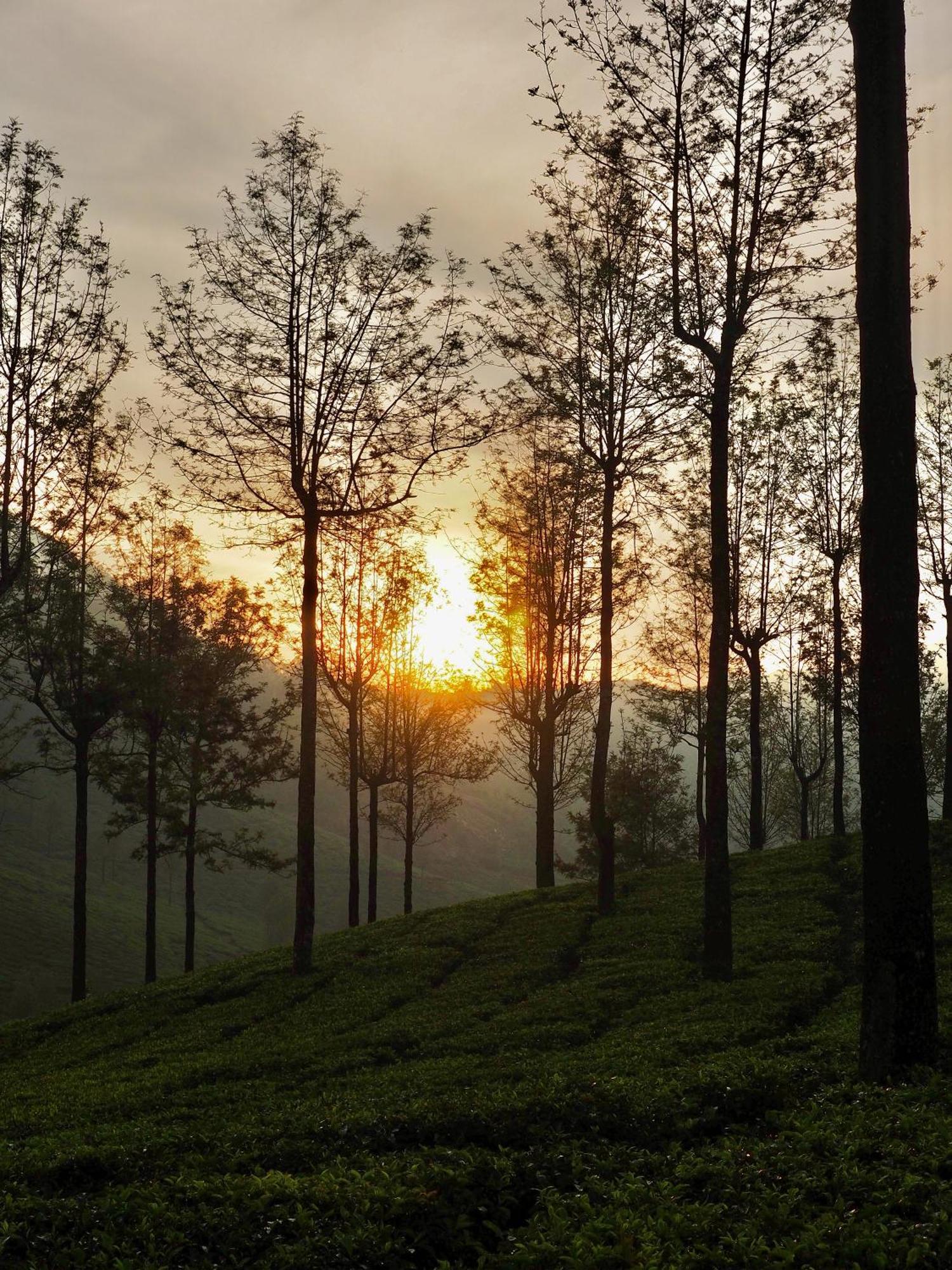 Lockhart Bungalow Munnar - A Cgh Earth Saha Experience Exterior foto
